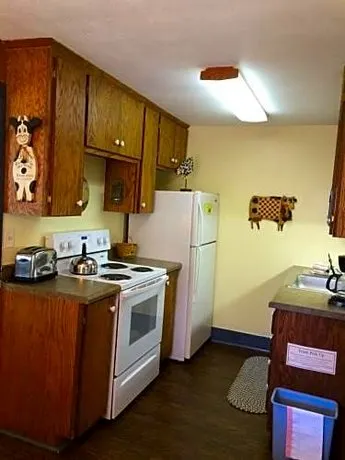 Mountain Springs Cabins - Image 1