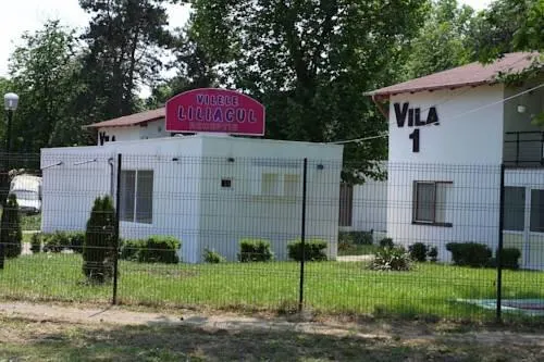 VILELE LILIACUL - Image 1