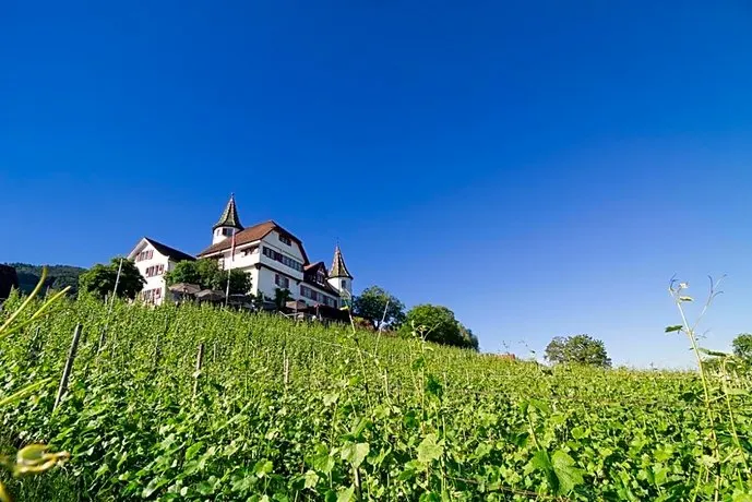 Romantik Restaurant Schloss Weinstein - Image 1
