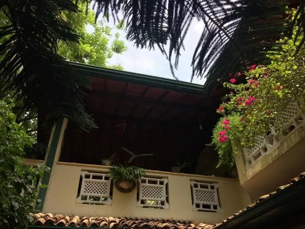 Palm Grove - Image 1