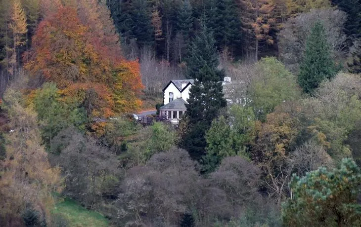 The Cottage in the Wood - Image 1