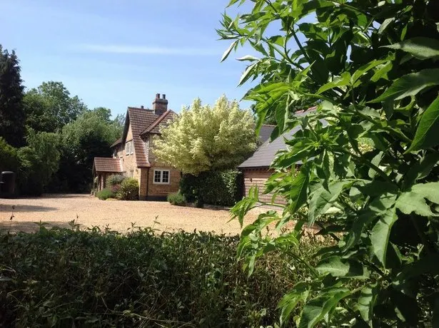 Meadow Farm Bed & Breakfast - Image 1