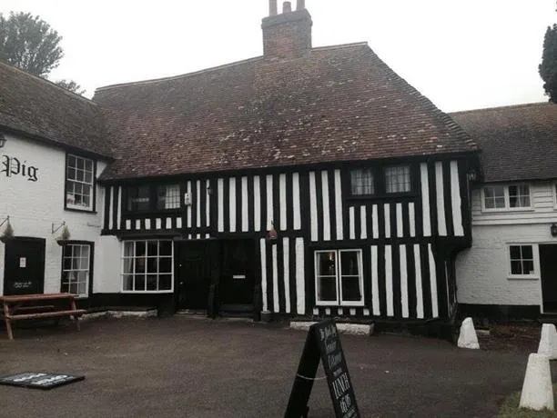 Black Pig - Image 1