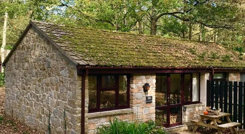 Cosy Woodland Home - Image 1