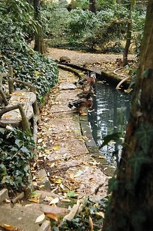 Alle Fronde - Image 1