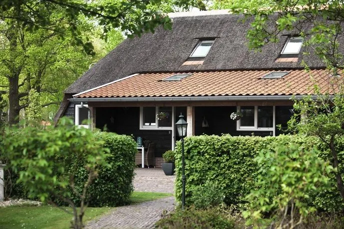 Rheezerstee - Image 1