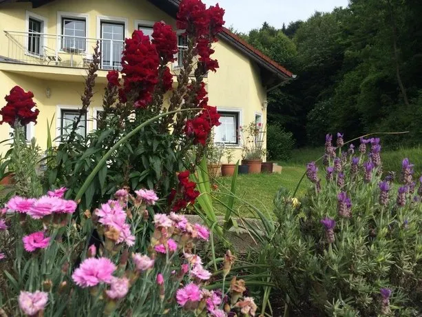 Das gelbe Haus - Image 1