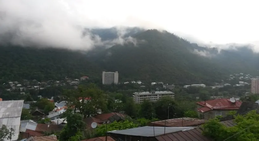 Villa "Borjomi" - Image 1
