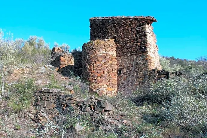 L'Oliveraie Des 3 Mas - Image 1