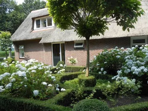 Bed & Breakfast Hoofdstraat 5 - Image 1