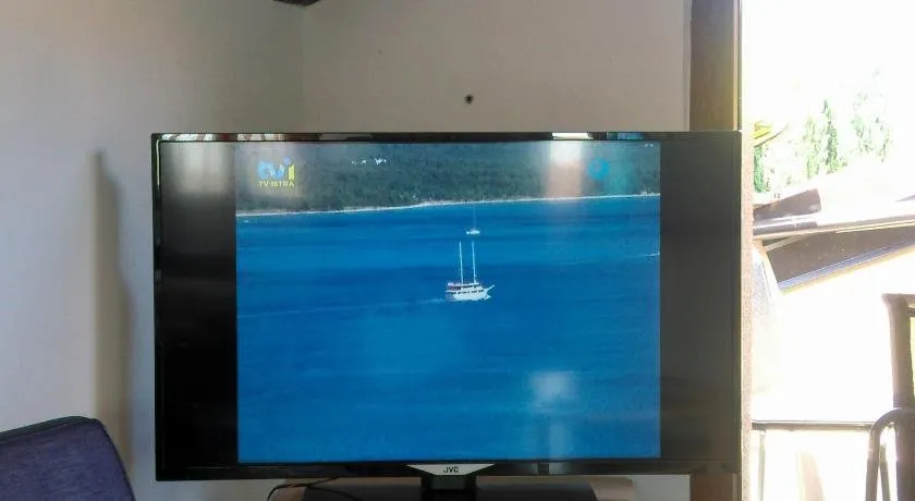 Delfin Dajla - Image 1