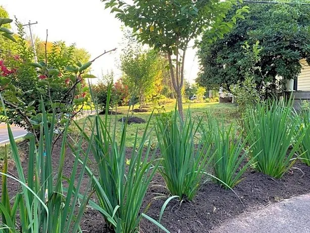 Beautiful & Peaceful 2-Bedroom (Bedroom 2) - Image 1