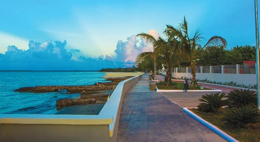 Glamping Los Hicacos Blanco - Image 1