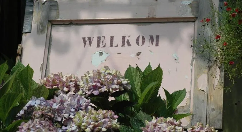 Pipowagen Overnachting Het Houten Huis - Image 1