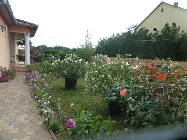 Liget Panzio - Image 1