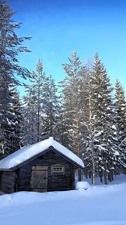 The Old Logging Camp - Image 1