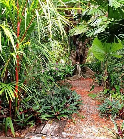 Rainforest Castaways Resort and Spa - Image 1
