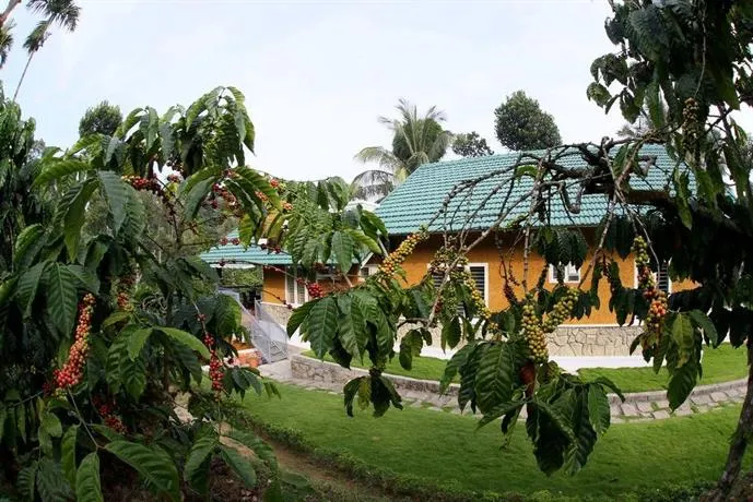 Field View Estate Bungalow - Image 1