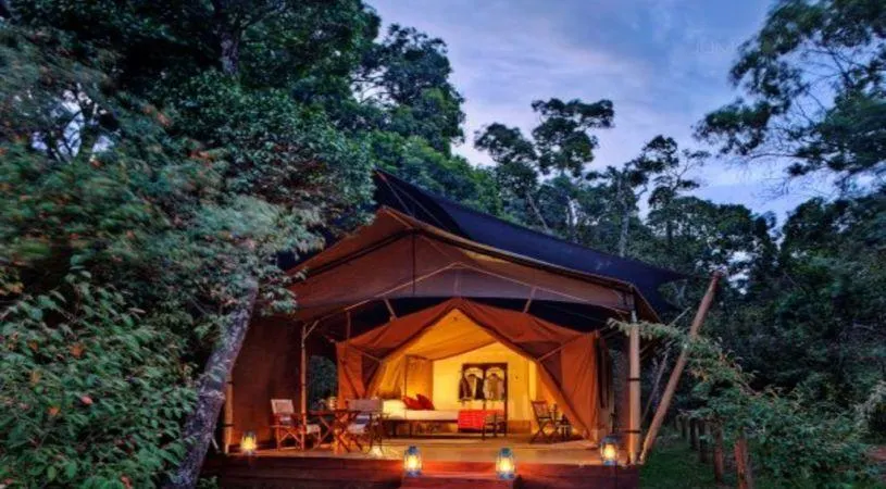 Elephant Pepper Camp - Image 1