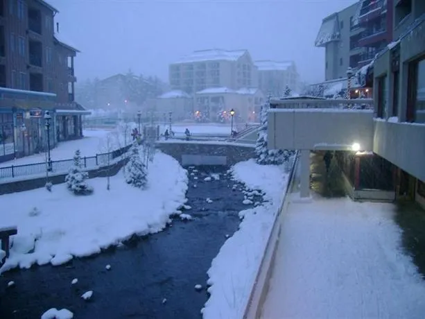 Peak 9 Inn- Liftside 4416 Ski-in Ski-out Resort Breckenridge - Image 1