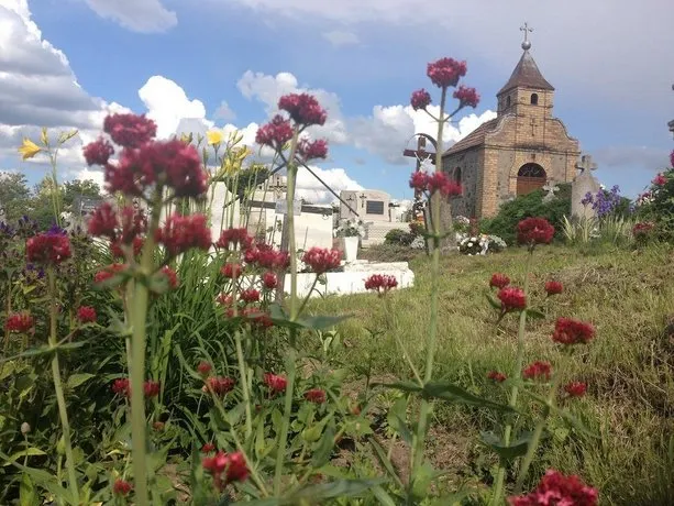 Lavender Szirák - Image 1