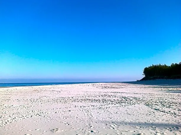 Milagro Baltico - Image 1
