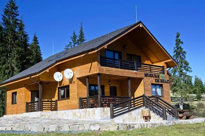 Cabana Mugure de Brad - Image 1