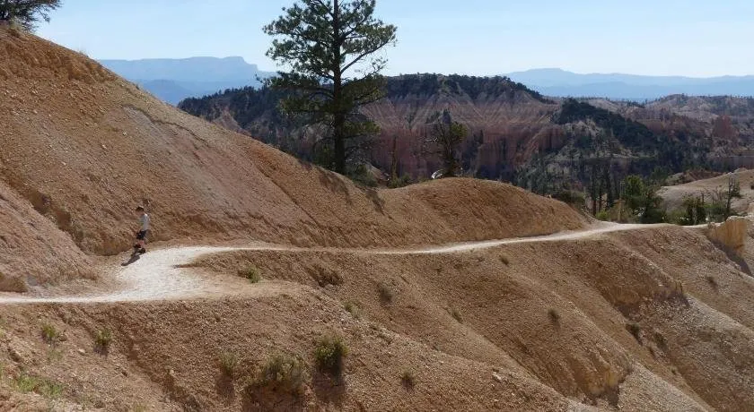 The Evergreen - Bryce Canyon National Park - Image 1