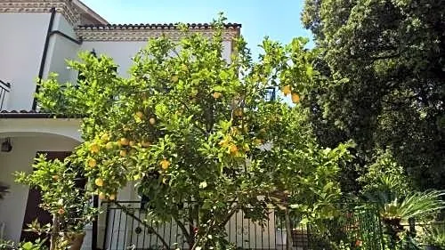 Hotel Cala del Citro - Image 1