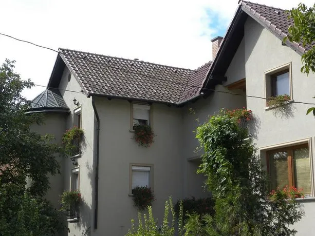 Mézesvölgy Vendégház - Image 1
