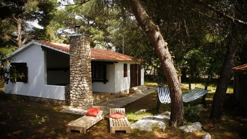 Holiday Home Pine Villa - Image 1
