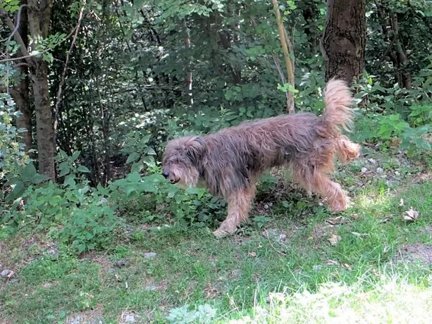 Baita Bondella - Image 1