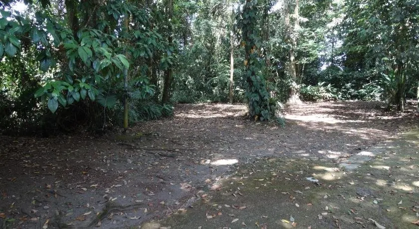 Horquetas River Lodge - Image 1