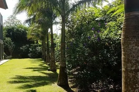 Lake Arenal Condos - Image 1