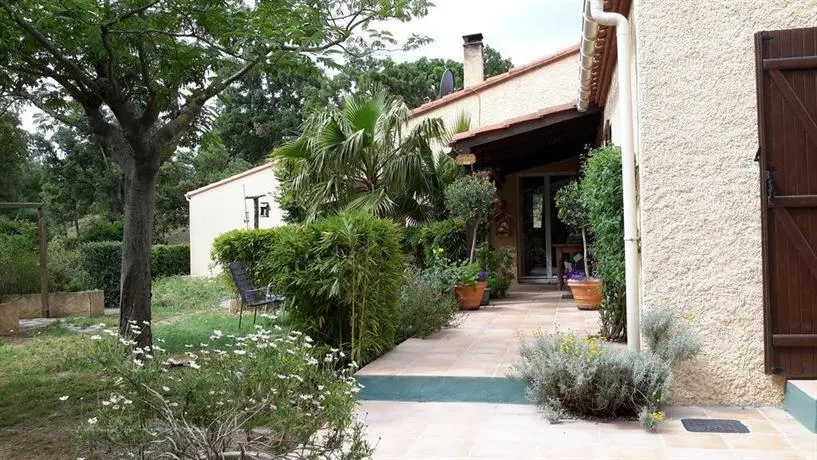 La Pantoufle Verte - Image 1