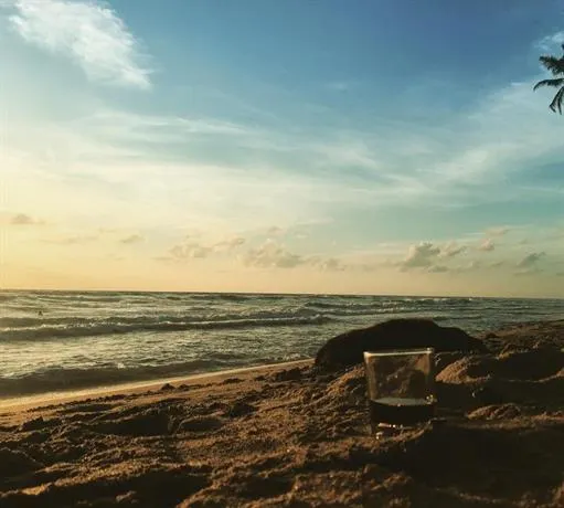 SEA BREEZE - Image 1