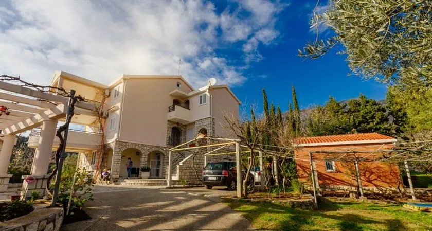 The Olive Paradise - Image 1