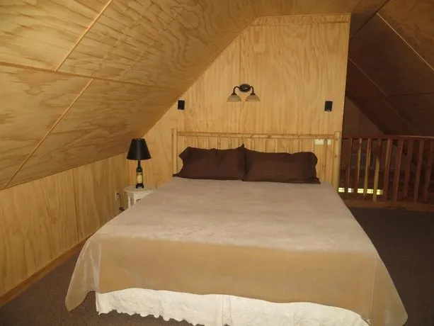 Bluebonnet Cabin - Image 1