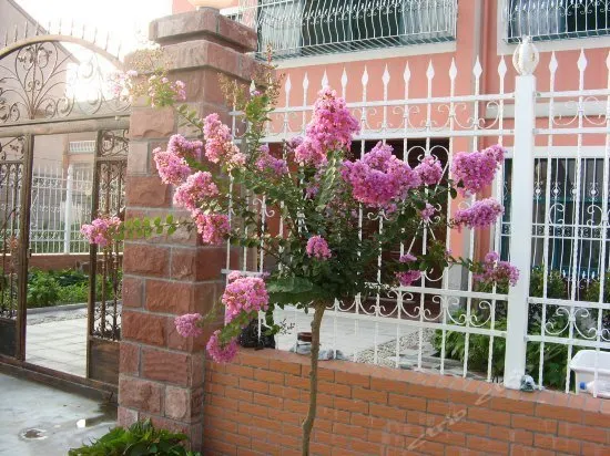 Xitang Happy Yizhan Inn - Image 1