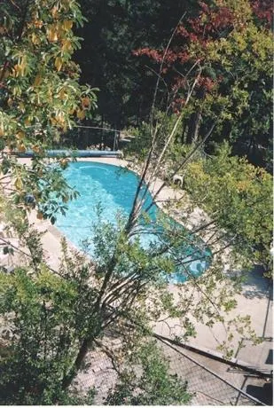 Above the Cove Condo Rental - Image 1