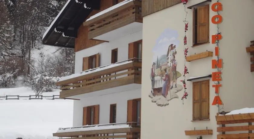 Hotel Pineta - Image 1