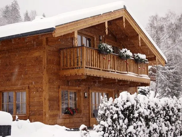 Chalet Sonnberg - Image 1