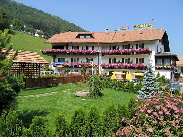 Hotel Pausa - Image 1