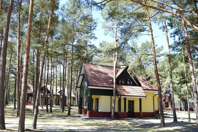 Navigator Energetyk - Image 1