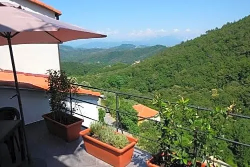 Il Volto - Image 1