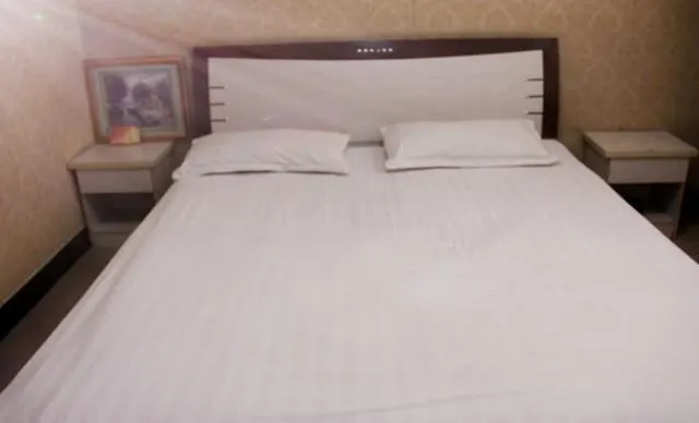 Pianguan Longyuan Hotel - Image 1