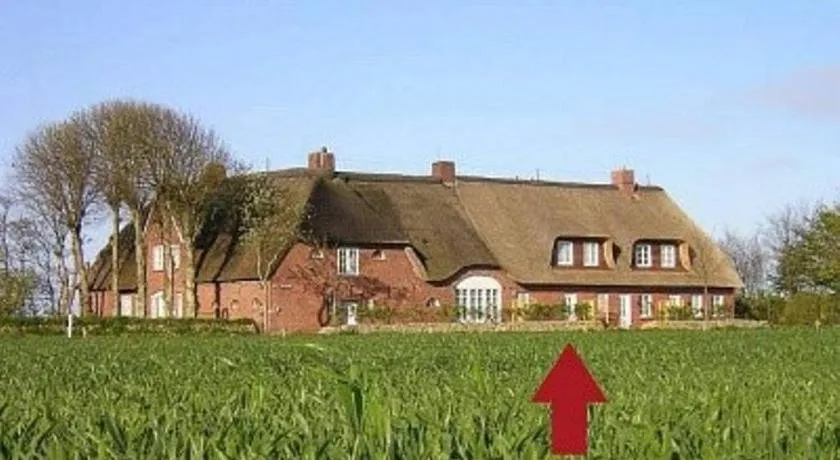 Silbermöwe - Image 1