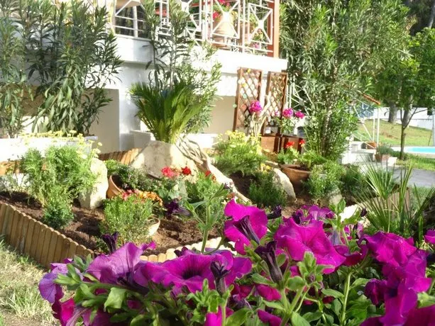 Green & Blue House - Image 1