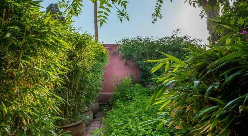 Riad Oasis 3 - Image 1