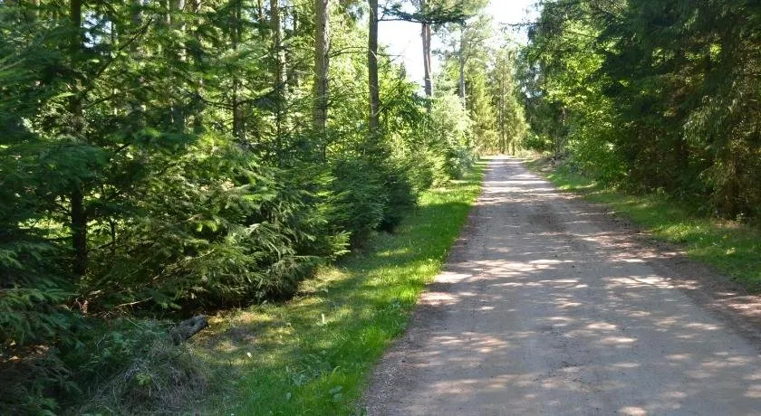 Granly - Image 1